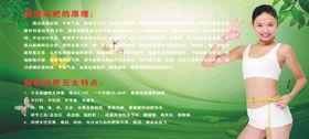 绿色减肥美女曲