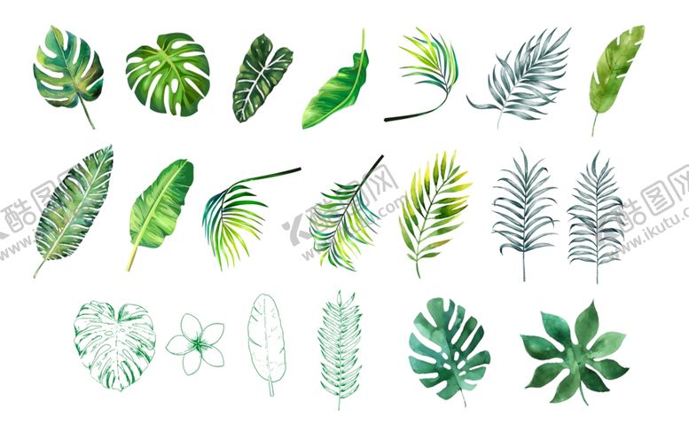 编号：81919510282358446218【酷图网】源文件下载-热带叶子