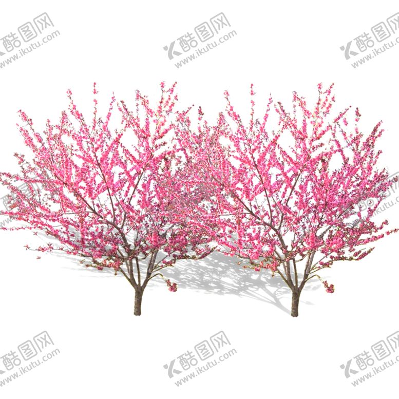 编号：48703404221509273315【酷图网】源文件下载-樱花装饰素材