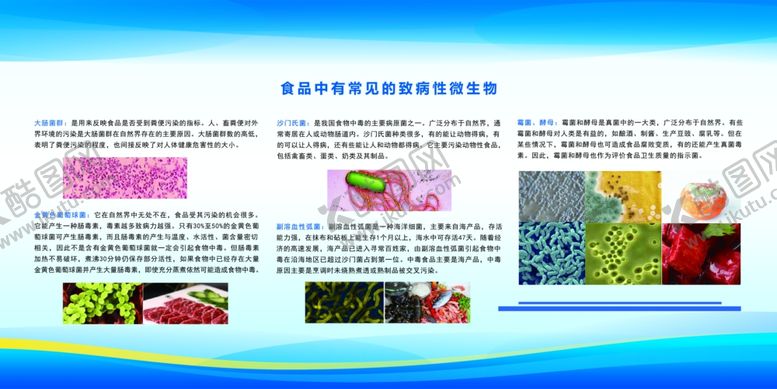 编号：38356402161911342041【酷图网】源文件下载-实验室常见的微生物
