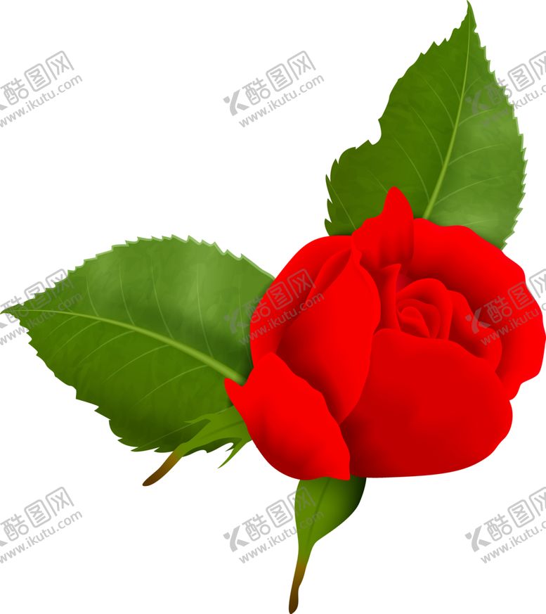 编号：68050701190127509010【酷图网】源文件下载-卡通手绘花卉