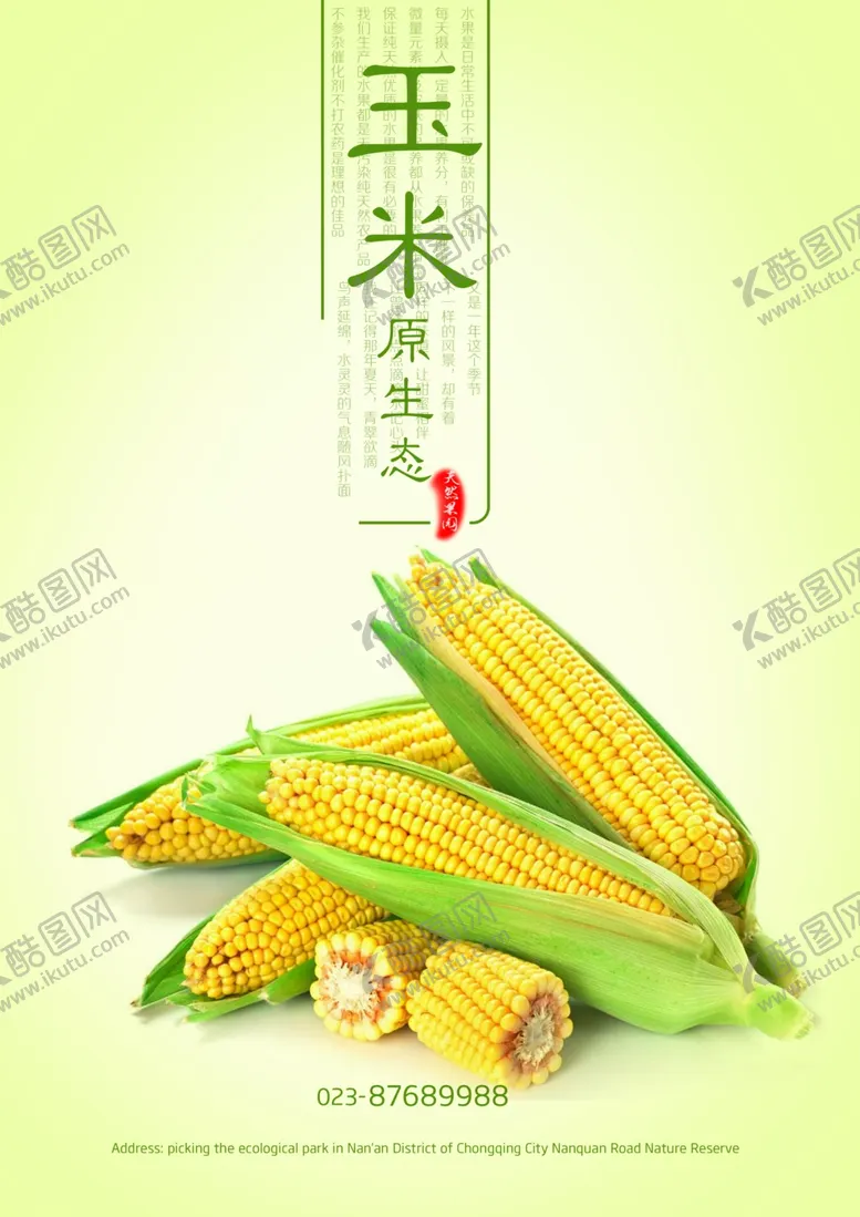 编号：72576306270550031836【酷图网】源文件下载-玉米海报