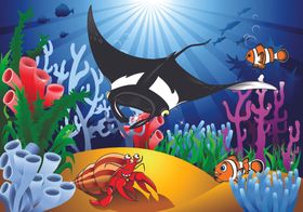 海底乐园生物水底乐园水草
