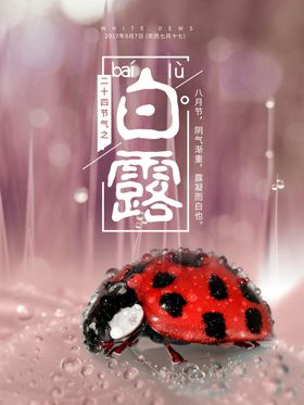 24节气之白露