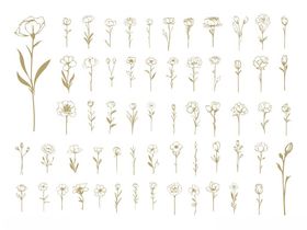 手绘清新花卉图案集合