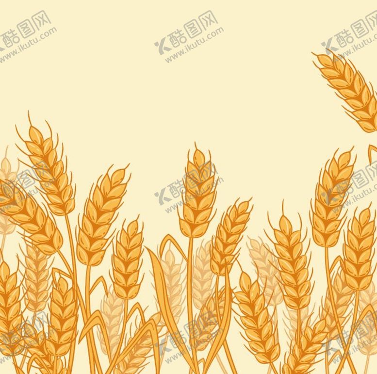 编号：31079209180952352468【酷图网】源文件下载-麦穗4