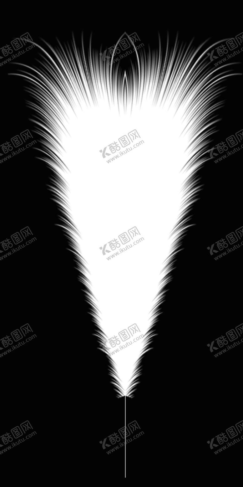 编号：68529709201301193596【酷图网】源文件下载-羽毛 芦苇工艺品