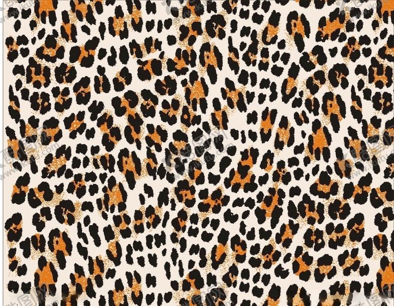 编号：45035710051059398116【酷图网】源文件下载-豹纹