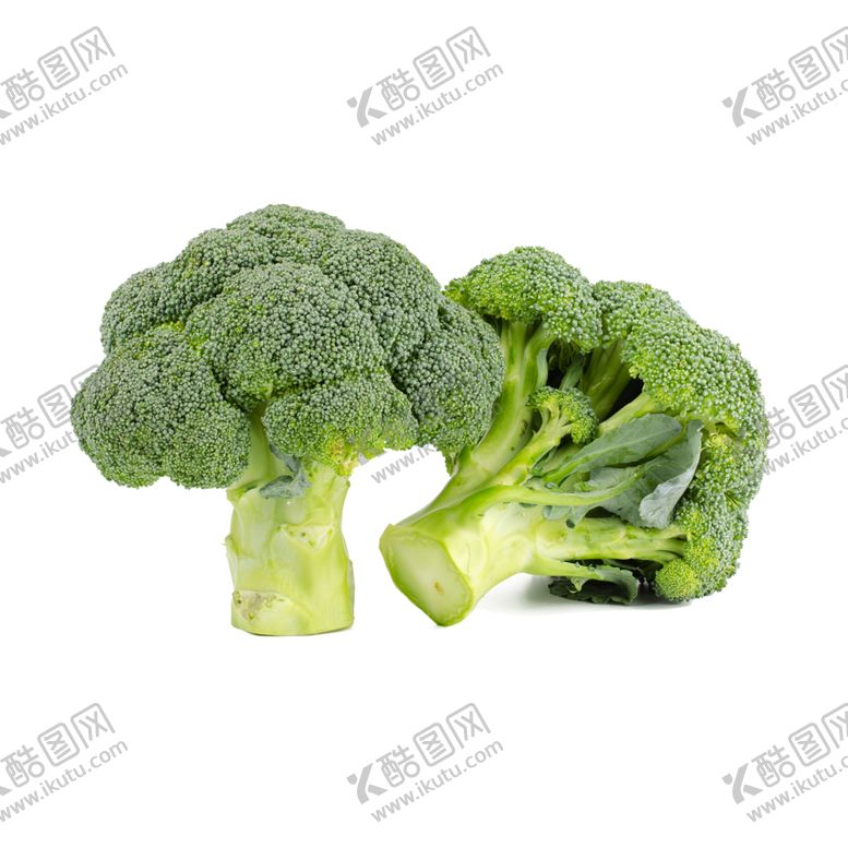 编号：65963409160307228314【酷图网】源文件下载-西蓝花西兰花