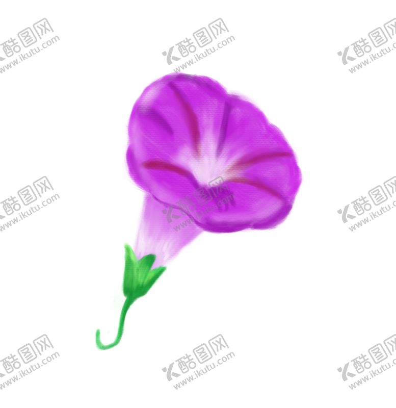 编号：62619404061053558102【酷图网】源文件下载-手绘牵牛花