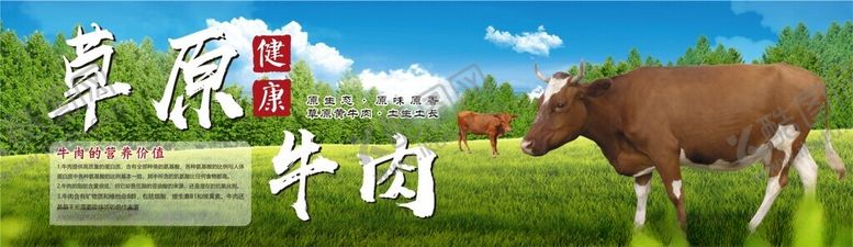 编号：68428802202101441074【酷图网】源文件下载-正宗黄牛肉