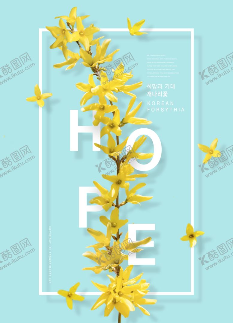 编号：41264806250629038812【酷图网】源文件下载-鲜花海报