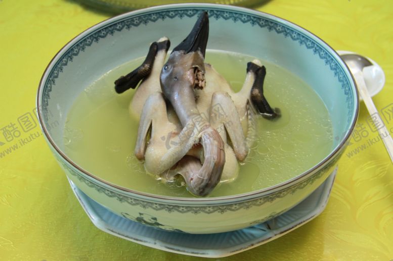 编号：19622609230441516079【酷图网】源文件下载-连城白鸭汤