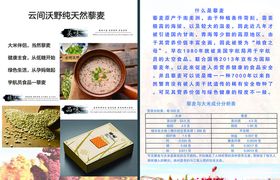 藜麦A4传单
