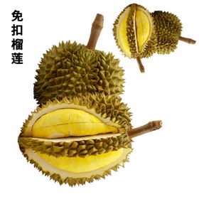 大肠杆菌免扣素材