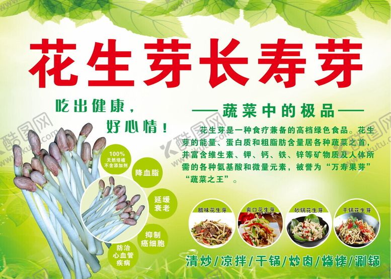 编号：19802002090620536491【酷图网】源文件下载-花生芽豆苗养生菜