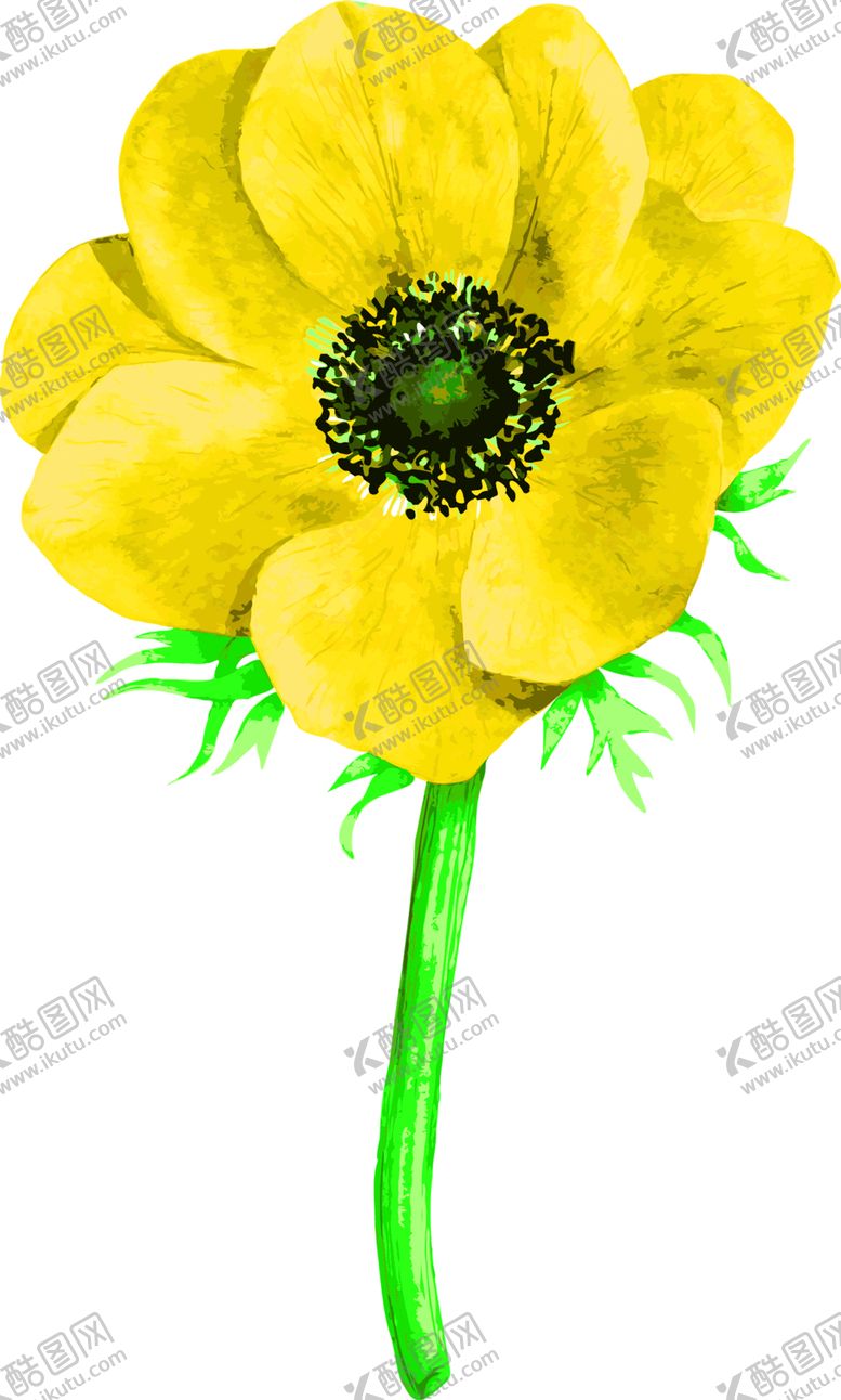 编号：29616707011340232942【酷图网】源文件下载-花素材