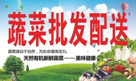 蔬菜批发