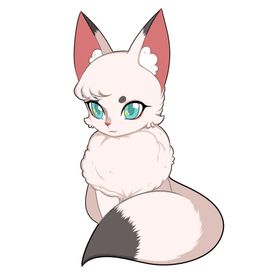 白色小美女狐狸