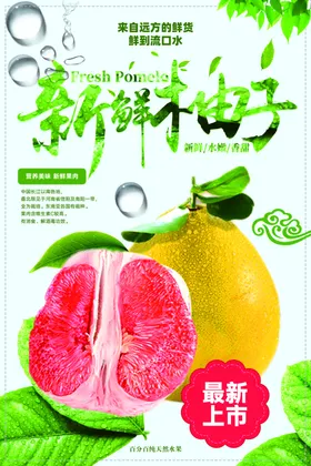 水果海报