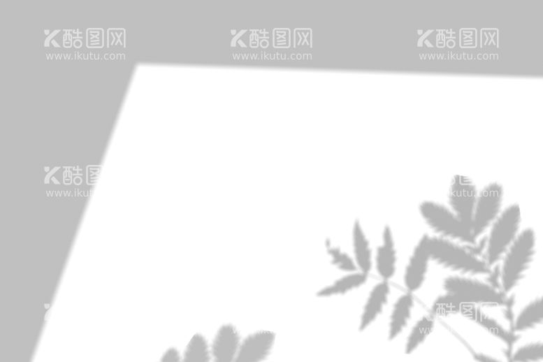 编号：79901011011613493618【酷图网】源文件下载-植物光影