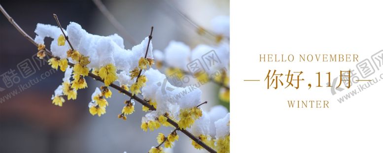 编号：83824709200322005874【酷图网】源文件下载-十一月你好