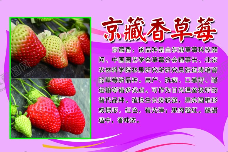 编号：95336010260125422267【酷图网】源文件下载-草莓