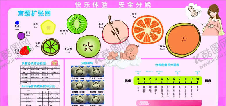 编号：61022504110023452002【酷图网】源文件下载-快乐体验安全分娩