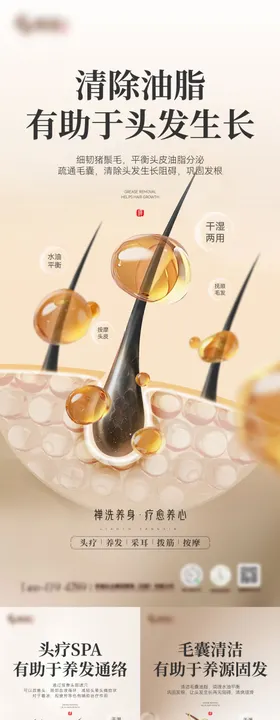 医美头皮头发毛囊知识系列海报