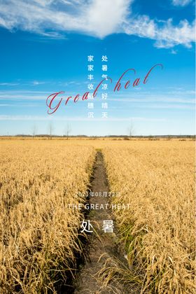 夏日时光海报处暑设计处暑来了地产处暑处暑设计稿