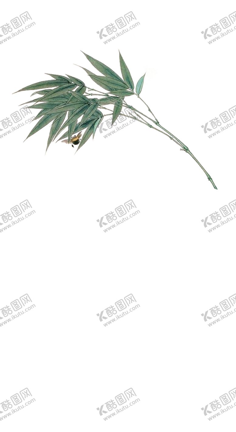 编号：25343805111153471881【酷图网】源文件下载-水墨竹子