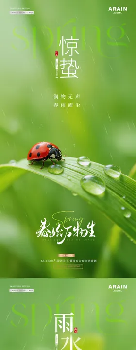 地产雨水惊蛰瓢虫绿叶海报
