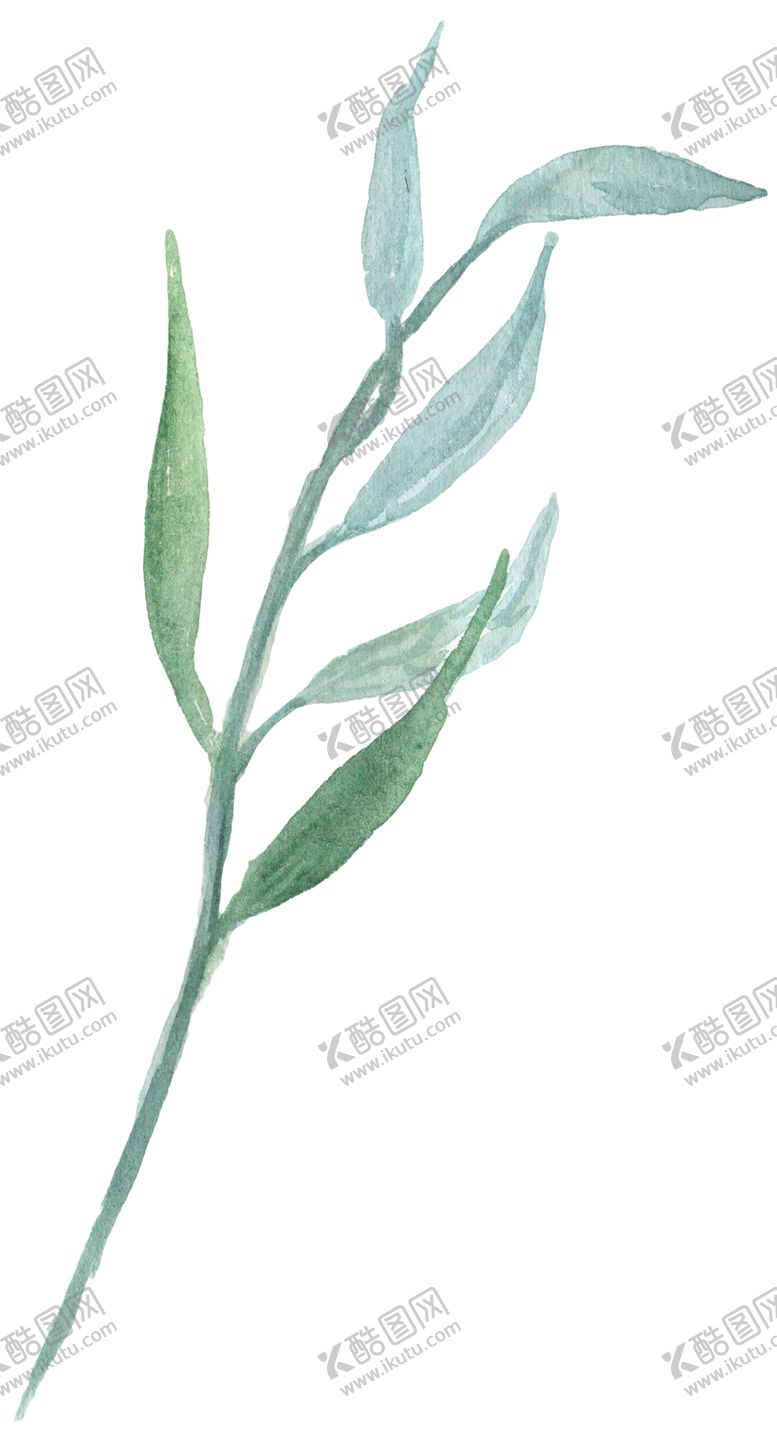 编号：22510106182301527143【酷图网】源文件下载-北欧小清新水彩花朵插画