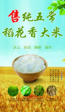 五常稻花香大米