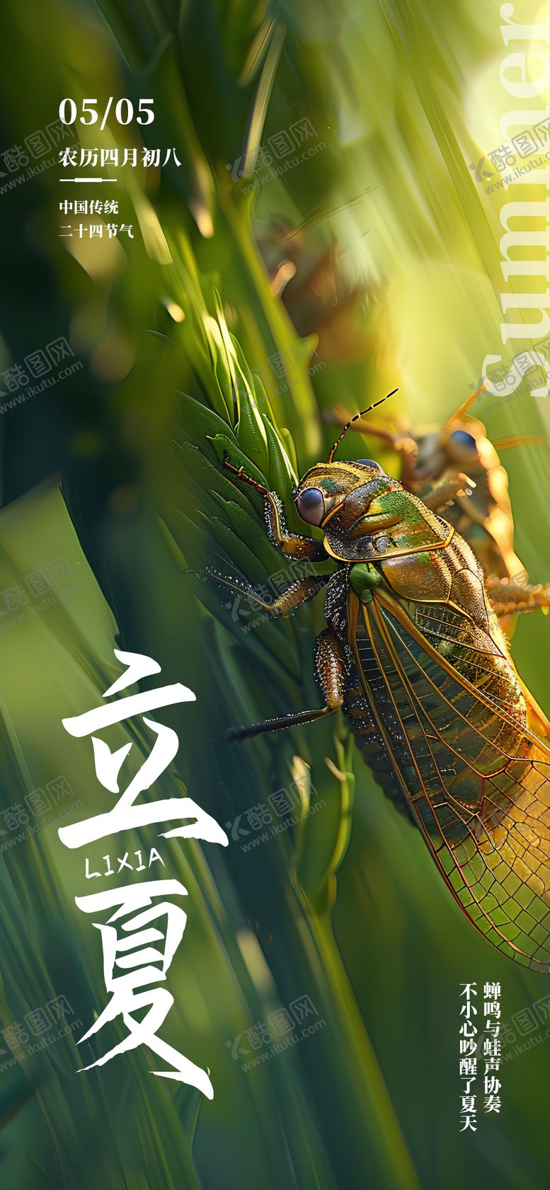 编号：50554004140912488796【酷图网】源文件下载-二十四节气立夏借势海报