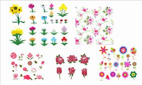 卡通花夭量花
