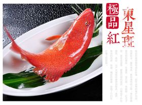 东星斑美食海报