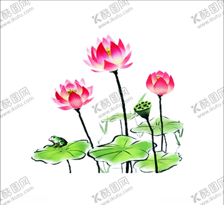 编号：66858409221914044964【酷图网】源文件下载-荷花