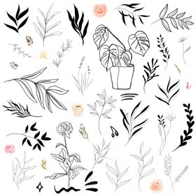 黑白线描花枝花叶剪影