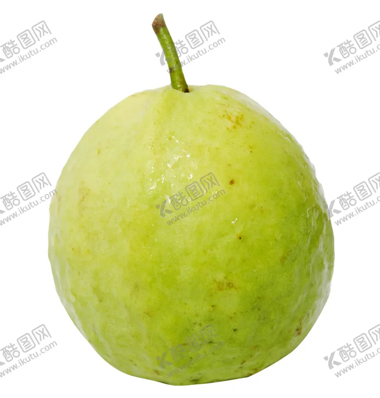 编号：63511301170228203159【酷图网】源文件下载-番石榴