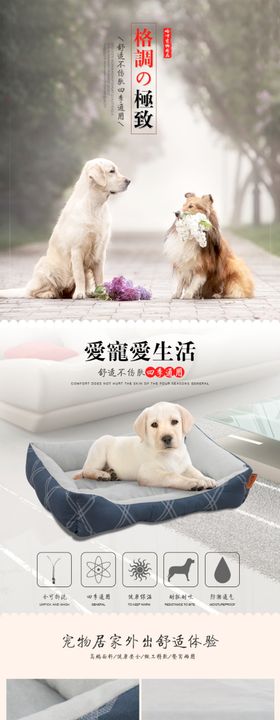 宠物用品猫草种植培养皿详情页