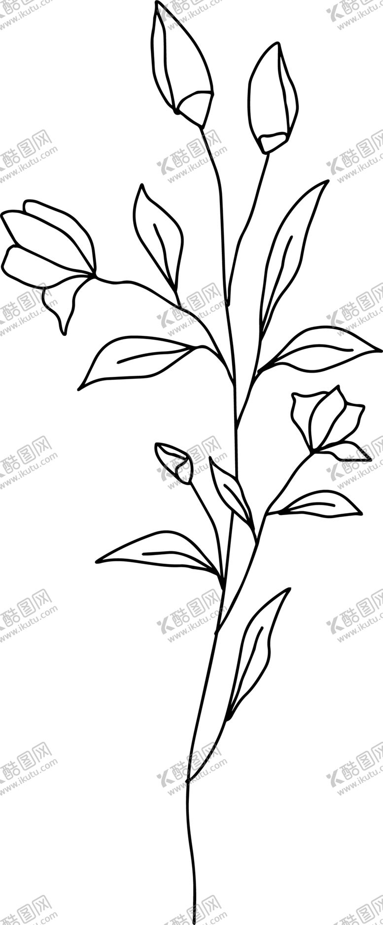 编号：90559807030913367791【酷图网】源文件下载-手绘花藤花纹