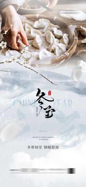 地产冬至节气海报饺子简约二十四