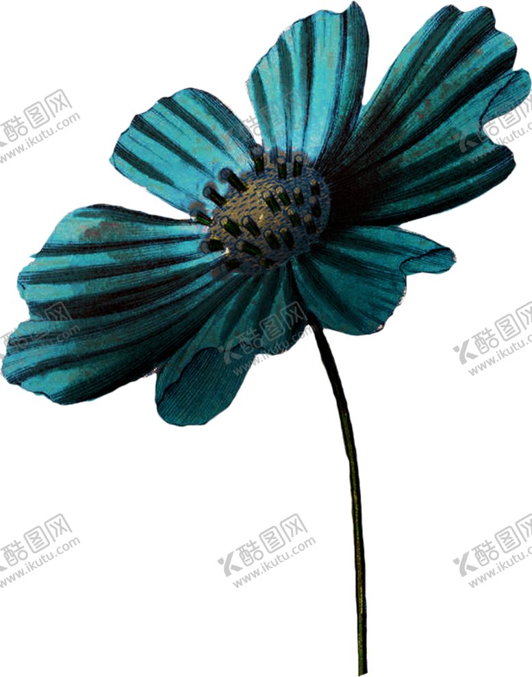 编号：46651510281721225144【酷图网】源文件下载-暗黑风植物花朵