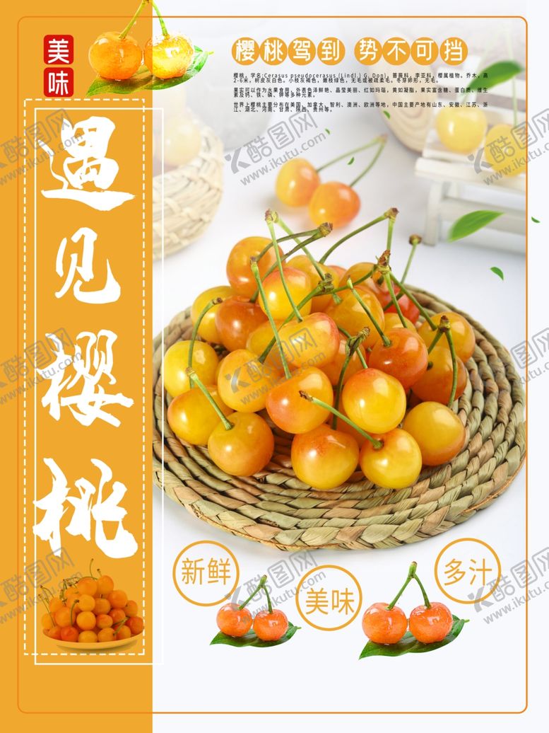 编号：93772210010653028384【酷图网】源文件下载-樱桃采摘