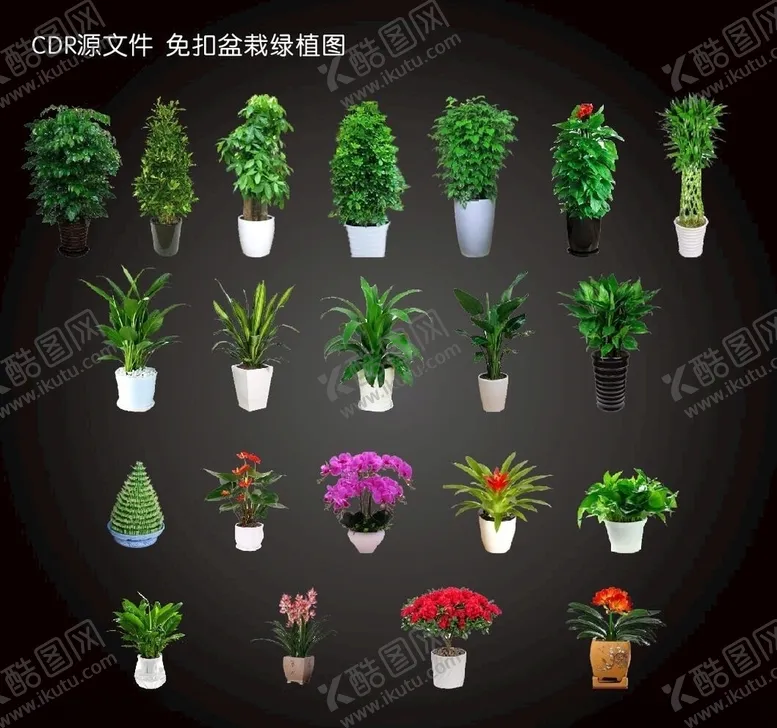 编号：20055004220644268015【酷图网】源文件下载-免扣盆栽绿植盆栽发财树