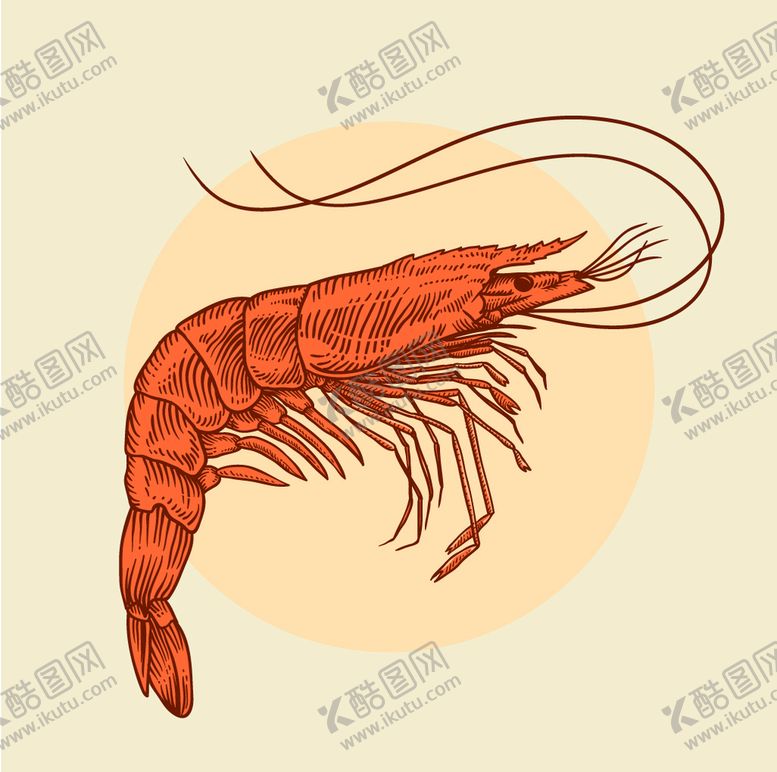 编号：81170310270652421365【酷图网】源文件下载-虾手绘