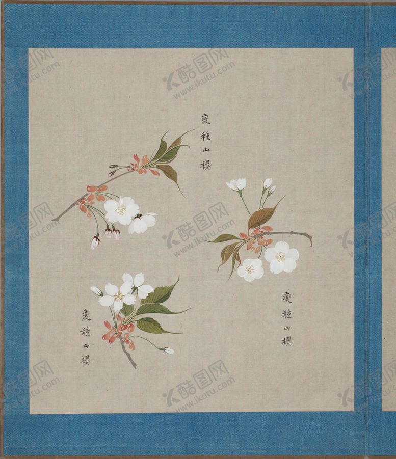 编号：74750603300555163362【酷图网】源文件下载-樱花