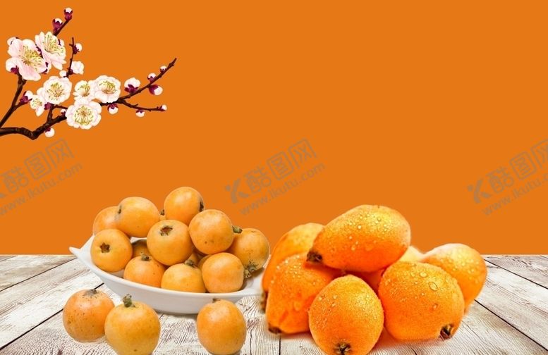 编号：30751510090947536677【酷图网】源文件下载-枇杷