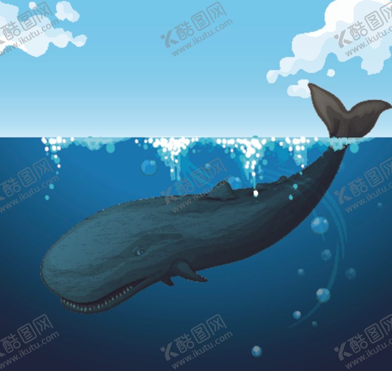 编号：47038509220621532828【酷图网】源文件下载-鲸鱼